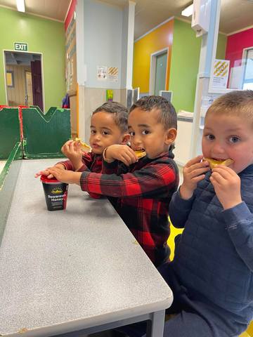 Honey in Kura  Community Initiative  (Te Whare Aroha Kohanga Reo , Opotiki)